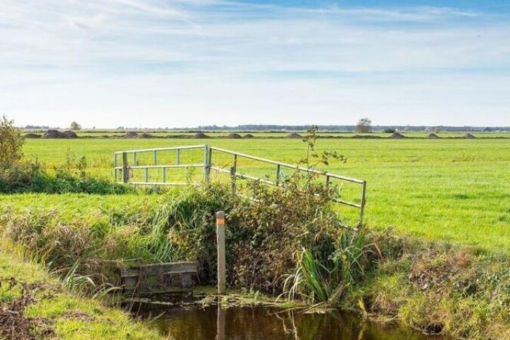 Foto van weilanden met hek en sloot in de voorgrond